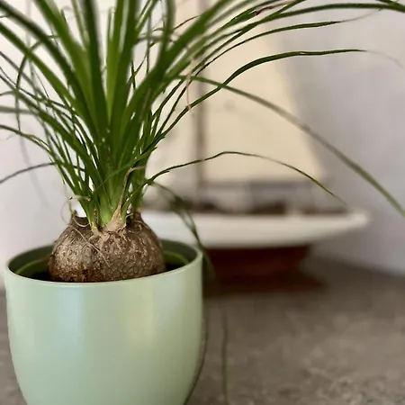 아파트 2 - Strandnaehe, Ruhig Und Mit Super Ausstattung *